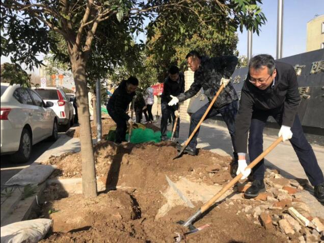 經(jīng)發(fā)集團(tuán)本部全員開展春季義務(wù)植樹活動，為經(jīng)開添新綠增新妝