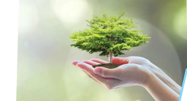 添新綠 “植”未來