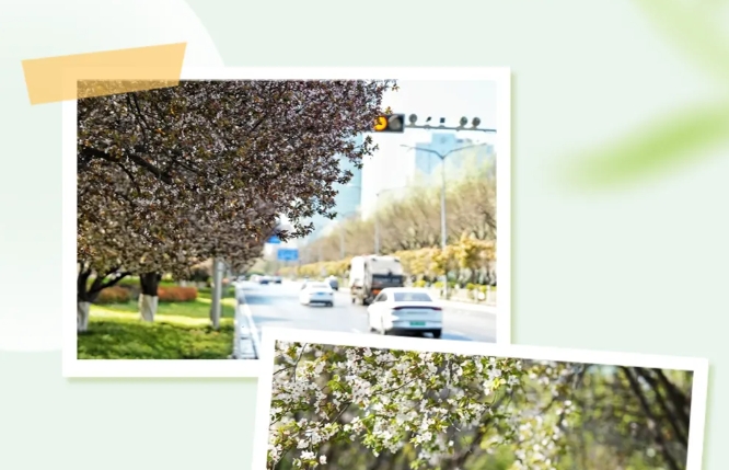 春色如畫 美在經開